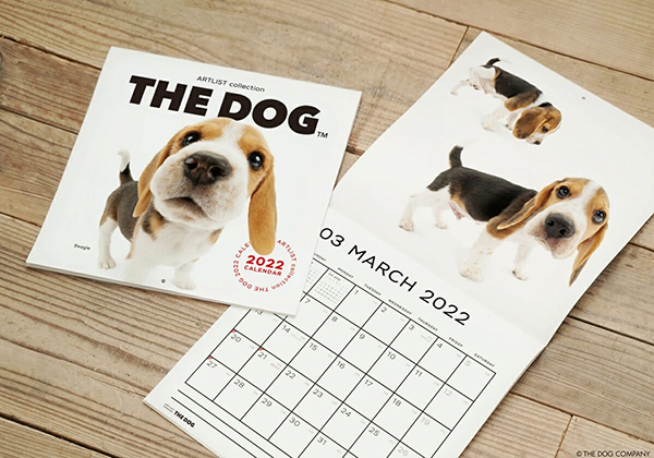 20周年を迎えた「THE DOG」が、犬や猫を支える支援活動として「SAVE THE DOG PROJECT」を新たに始動。支援開始までのストーリーとこれからの展望に迫る。